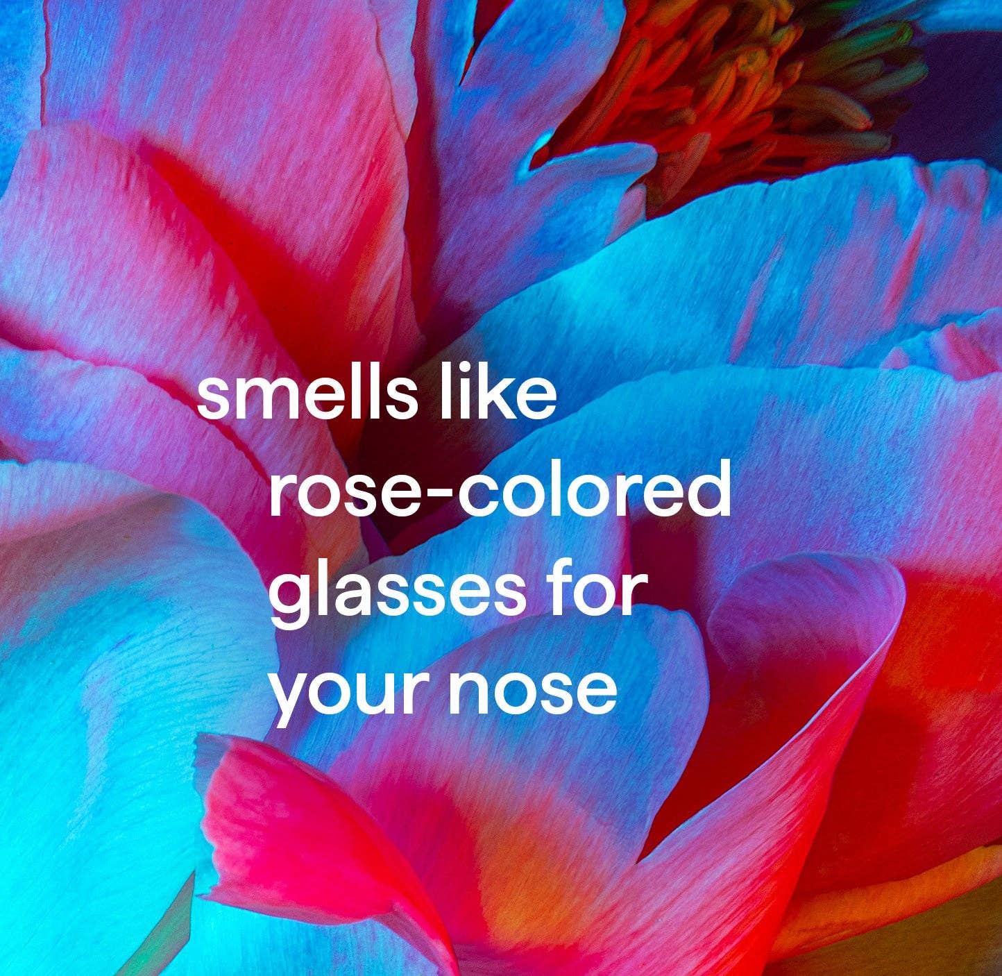 Method Body Paraben & Phthalate Free Body Wash, Pure Peace, 18 fl oz