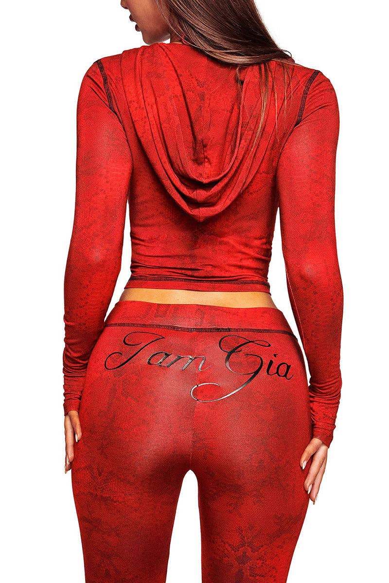 Leopard Print Hoodie and Flare Pants Set- clothes